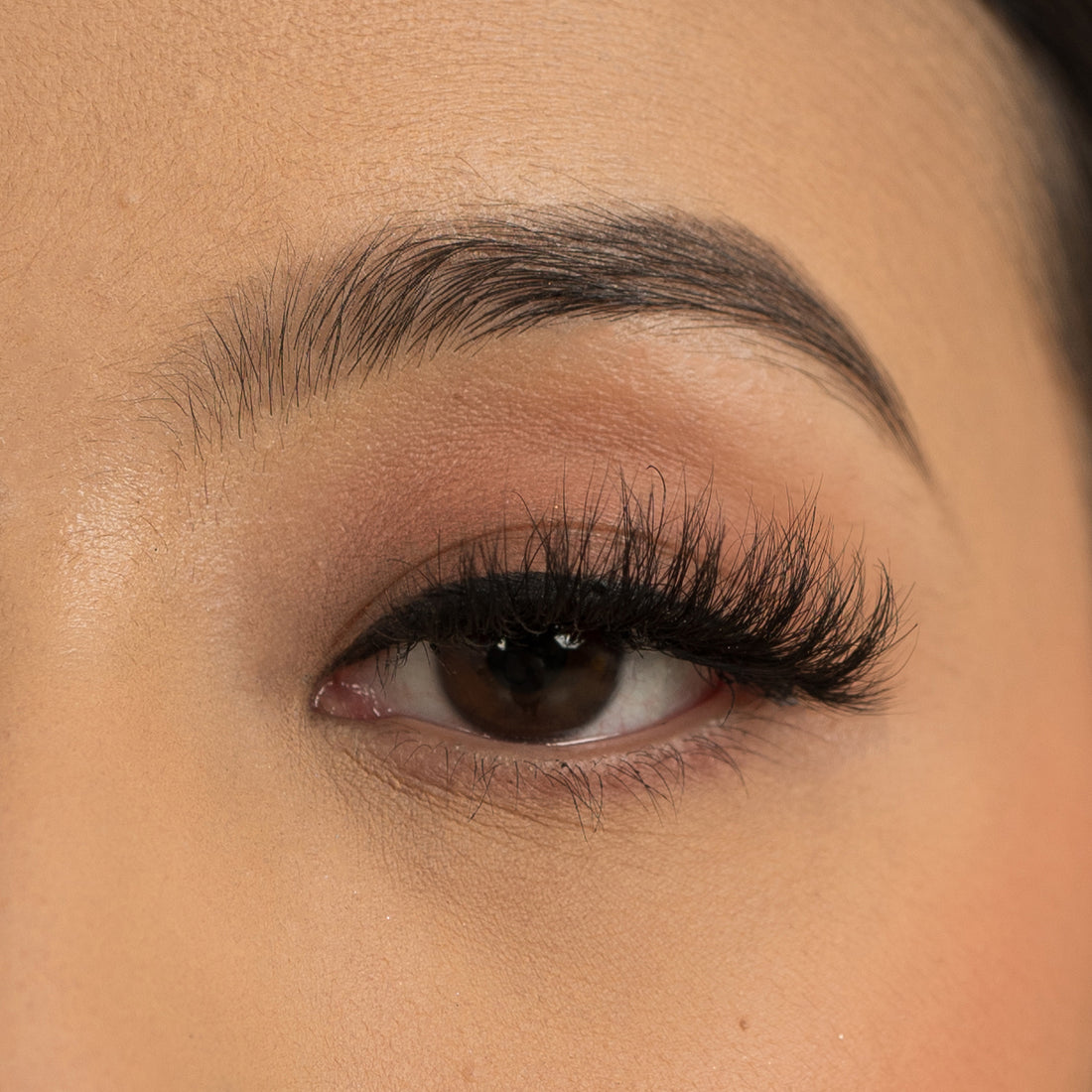 Cosmopolitan Eyelash